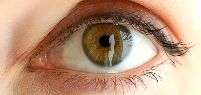 Интересные факты о цвете глаз