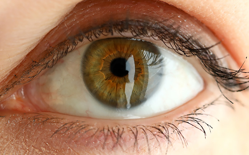 Интересные факты о цвете глаз