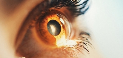 ИИ определит возраст человека по глазам