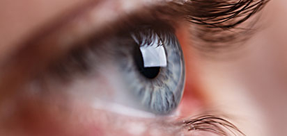 Ученые обнаружили новую связь между зрением и осязанием