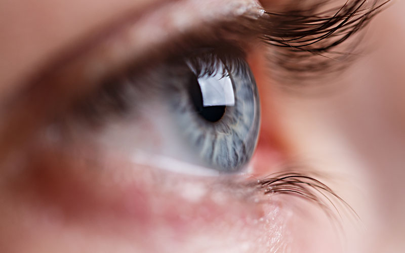 Ученые обнаружили новую связь между зрением и осязанием