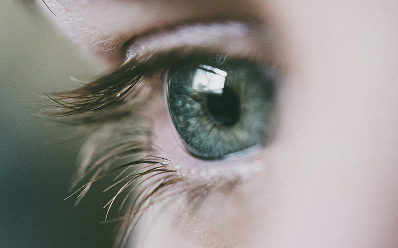 Контролируемый стресс защищает будущие поколения от заболеваний глаз