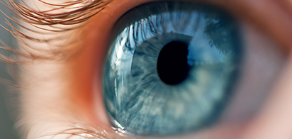 Исследователи нашли новый механизм защиты от глаукомы