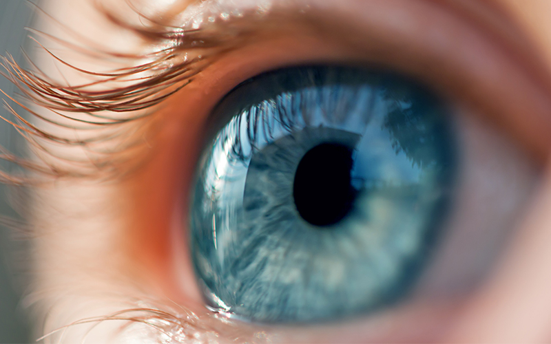 Исследователи нашли новый механизм защиты от глаукомы
