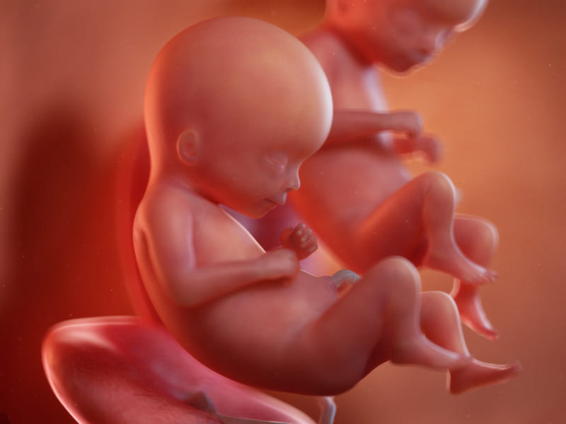 Получены новые данные о развитии зрения в утробе