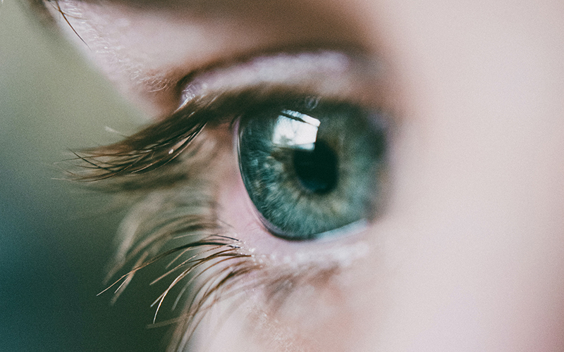 Открыты неописанные ранее нейроны, контролирующие движение глаз