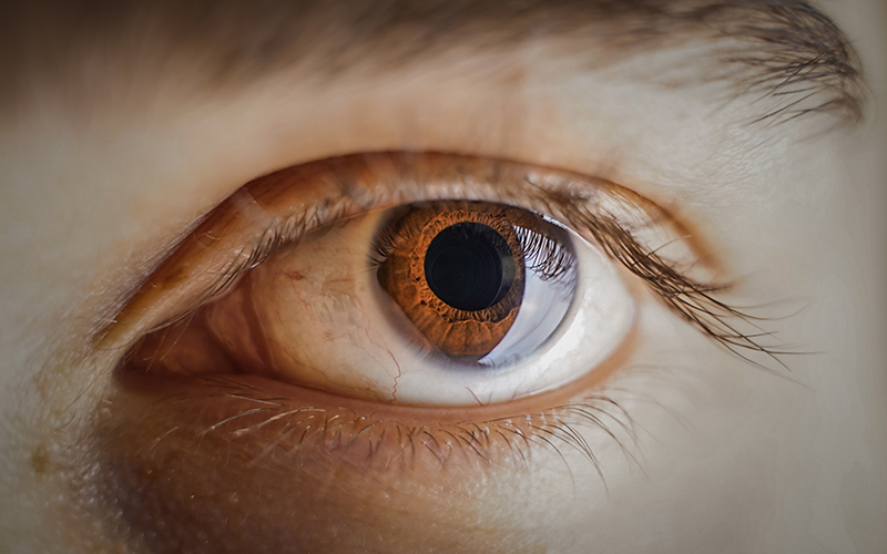 Разработка нового лекарства от диабетической ретинопатии