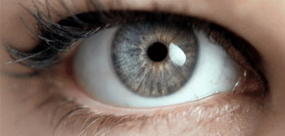 Вечно в движении: как фиксация глаз влияет на зрение?