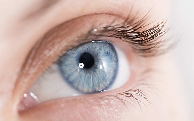 Учёные: глаукома может быть больше, чем проблемой внутриглазного давления