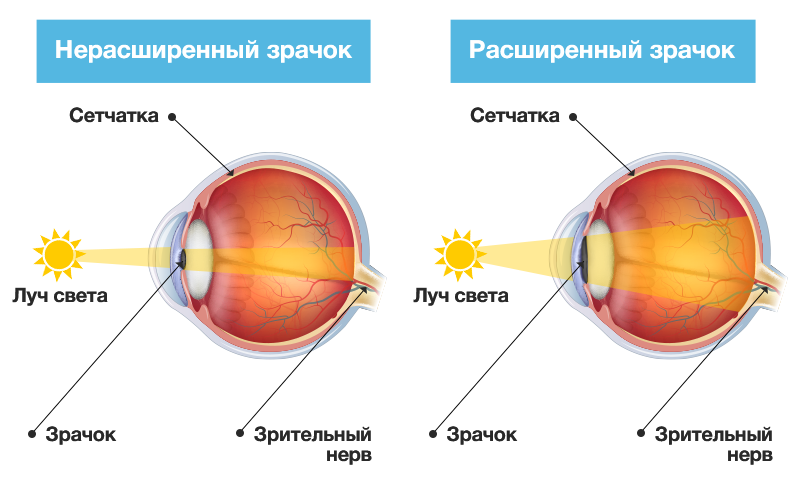 Зрение новорожденного | Клиника Добрый Доктор г. Красноярск
